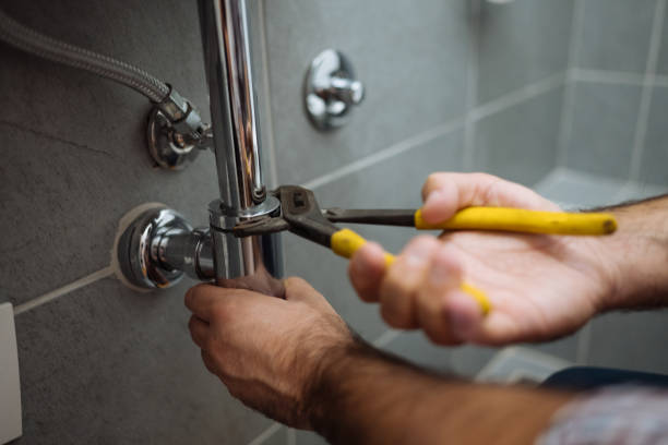 Best Plumbing Inspection Services  in Elverta, CA